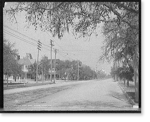 Antique City View - Tampa, Florida - Hyde Park Avenue