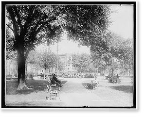 Vintage Landscape - Circus & Carnival - Grand Circus Park