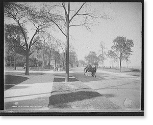 Vintage Landscape - Chicago, Illinois - Lake Shore Drive