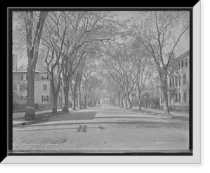 Historic Framed Print, Chestnut St., Salem, Mass.,  17-7/8" x 21-7/8"