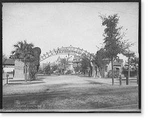 Black & White Photo - New Orleans, Louisiana - Audubon Place (1)
