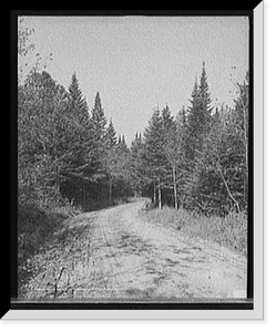 On the road from Crawfords i.e. Crawford to Bretton Woods, White Mts., N.H, Historic Reproduction