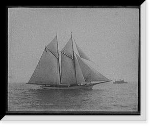 Historic Framed Print, Fleetwing,  17-7/8" x 21-7/8"