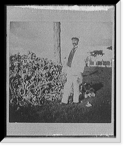 Heap of bones in the graveyard, Necropolis Cristobal Colon, Havana - 2 Classic, Antique Print