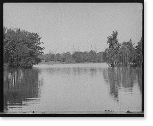 Vintage Landscape - Buffalo - Lake in the park, N.Y