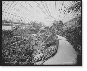 Vintage Building Photo - Detroit, Michigan - Conservatory on Belle Isle (2)