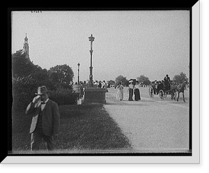 Bridge in Jackson Park, Chicago, Ill, Antique Wall Art