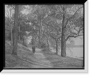 Historic Framed Print, [Path in John Bartram Park (Bartram's Gardens), Philadelphia, Pa.],  17-7/8" x 21-7/8"