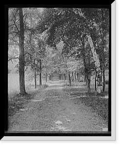 Avenue in Mount Holyoke College grounds, South Hadley, Mass, Historic Reproduction
