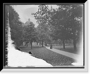 Campus & University Hall, University of Michigan, Ann Arbor, Mich, Vintage Print