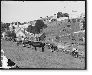 Vintage Military Print - Mackinac Island, Michigan - Picturesque Fort (2)