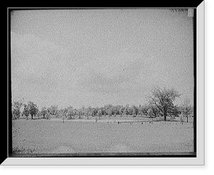 Historic Framed Print, [Maplewood Park, Rochester, N.Y.],  17-7/8" x 21-7/8"