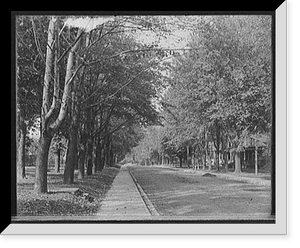 Buffalo Avenue, Niagara Falls, N.Y, Vintage Print
