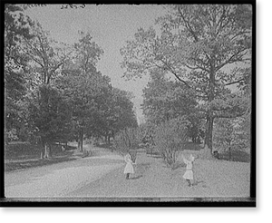 Vintage Landscape - Columbus - Franklin Park, Ohio (1)