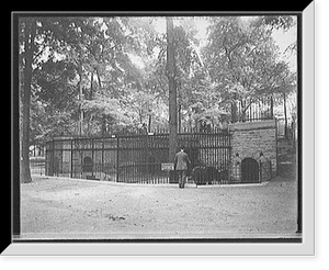 Bear pit, Belle Isle Park, Detroit, Mich, Vintage Print