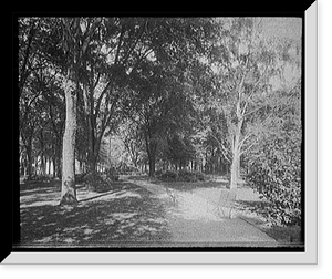 Historic Framed Print, [Forman Park, Syracuse, N.Y.],  17-7/8" x 21-7/8"