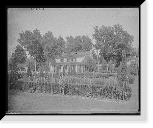 Chauncey Olcott's garden, Saratoga Springs, N.Y, Historic Print