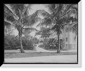 Hotel Royal Poinciana, west facade, Palm Beach, Fla, Vintage Poster
