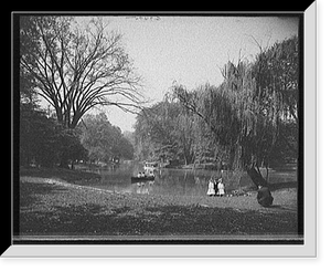 A Glimpse of lake, Prospect Park, Brooklyn, N.Y. Classic, Vintage Wall Art