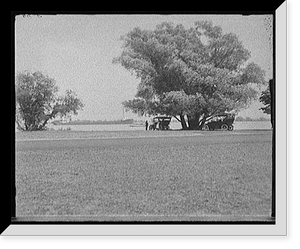Historic Landscape - Detroit, Michigan - View at head of Belle Isle Park
