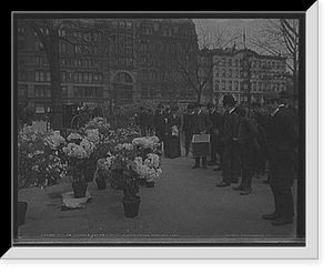 Historic Framed Print, Flower vender's [sic] Easter display in Union Square Park, New York,  17-7/8" x 21-7/8"