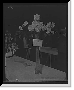 Black & White Photo - Detroit - Mich., American Carnation Society
