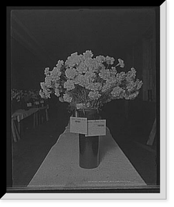 Black & White Photo - Detroit, Michigan - First prize, Enchantress