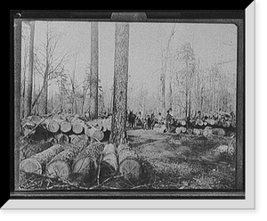 A Lumberman's dream Classic, Vintage Print
