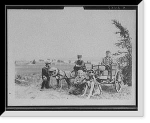 Historic Framed Print, [Boys posed with dog carts in field],  17-7/8" x 21-7/8"