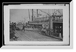 Historic Framed Print, On the levee at New Orleans,  17-7/8" x 21-7/8"