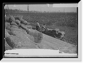 Historic Framed Print, Cotton seed at the r.r. station,  17-7/8" x 21-7/8"