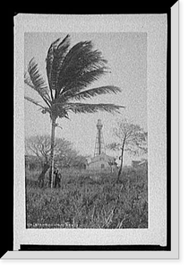 Vintage Building Photo - Lighthouses - Tampico light house