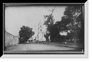 Historic Framed Print, Tree of Noche Triste,  17-7/8" x 21-7/8"