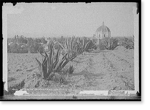 Antique Photo Print - View in Ixtapalapa, Mexico - Vintage Home Decor Print