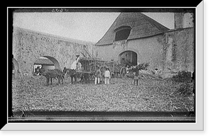 Historic Framed Print, Sugar mill, Cuautla,  17-7/8" x 21-7/8"