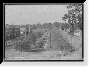 Historic Street Photo - Main St. Street, Summerville, S.C