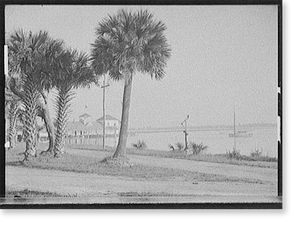 Historic Maritime - Halifax River Yacht Club and palms, Daytona Beach