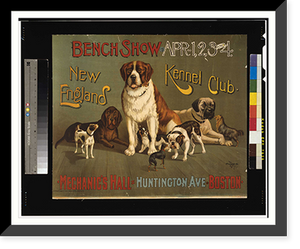 Bench show. New England Kennel Club, Vintage Print