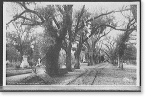 Vintage Americana Print - Savannah, Georgia - Bonaventure Cemetery (2)
