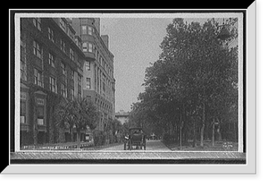 Historic Framed Print, Liberty Street [Savannah, Ga.],  17-7/8" x 21-7/8"