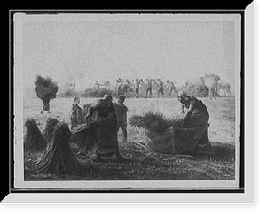 Buckwheat harvest, Vintage Print