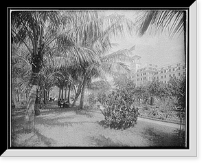 Hotel Royal Poinciana, Lake Worth - 2 Classic, Historic Print