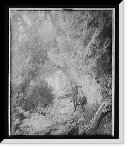 Historic Framed Print, Fairy Arch, Mackinac Island, Mich. - 2,  17-7/8" x 21-7/8"