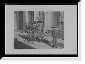 Fruit and poultry vendor, Historic Reproduction