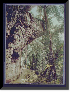 Antique Photo Print - Niagara Falls - Niagara, footpath in Niagara Glen