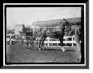 Historic Framed Print, HORSE SHOWS. UNIDENTIFIED MEN, DRIVING - 2,  17-7/8" x 21-7/8"