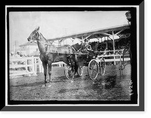 Historic Framed Print, GHEEN, J.O. DRIVING 'BOSCOBEL' IN HORSE SHOW,  17-7/8" x 21-7/8"