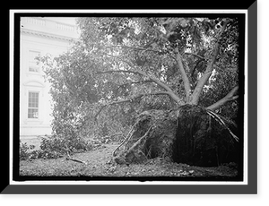 Historic Framed Print, [White House] STORM DAMAGE - 3,  17-7/8" x 21-7/8"