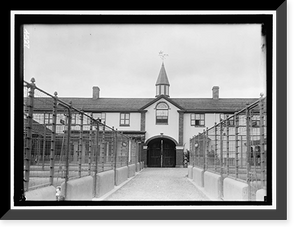 NATIONAL BEAGLE CLUB OF AMERICA. KENNELS AND DOGS OF J.B. THOMAS - 12, Historic Reproduction