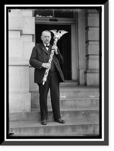 Historic Framed Print, HOUSE OF REPRESENTATIVES SERGEANT-AT-ARMS GORDON WITH MACE,  17-7/8" x 21-7/8"